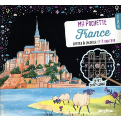 Découverte France - Avec 5 cartes à gratter scintillantes- 5 cartes à colorier- 1 pique en bois