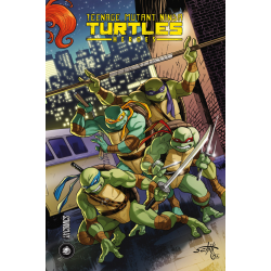 Teenage Mutant Ninja Turtles - Les Tortues Ninja (HiComics) - Heroes